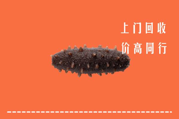 高价求购：唐山丰润区回收海参
