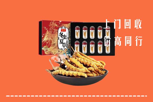 唐山丰润区回收虫草